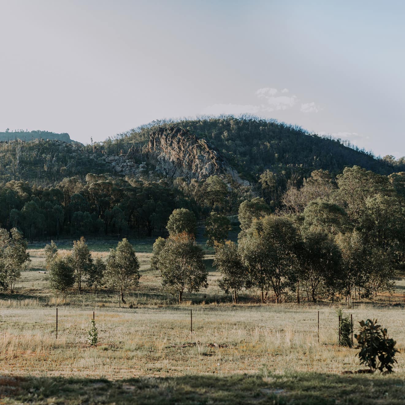 Mountain views of Warrumbungle National Park from the home.