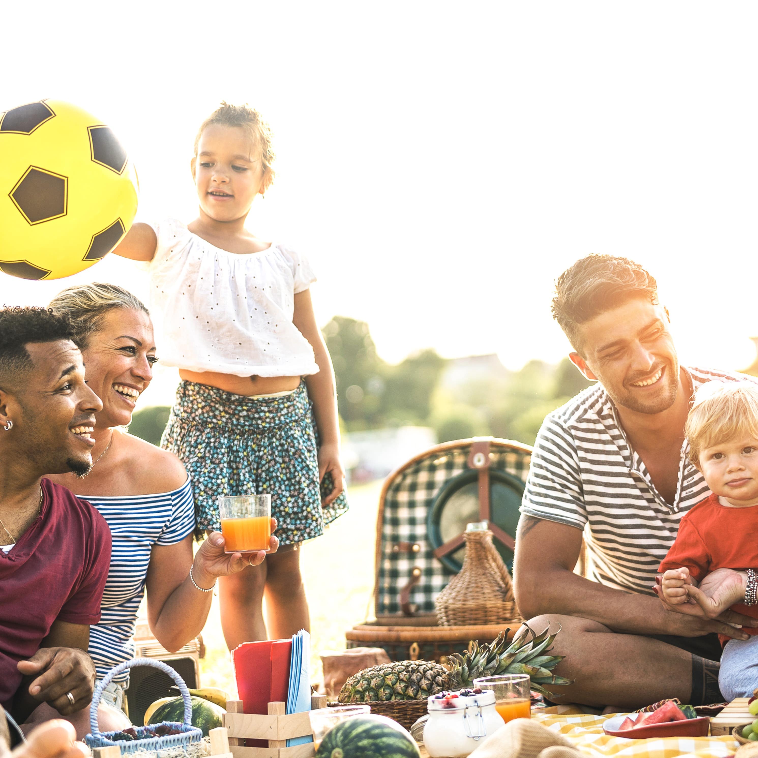 Families having a picnic together at the park