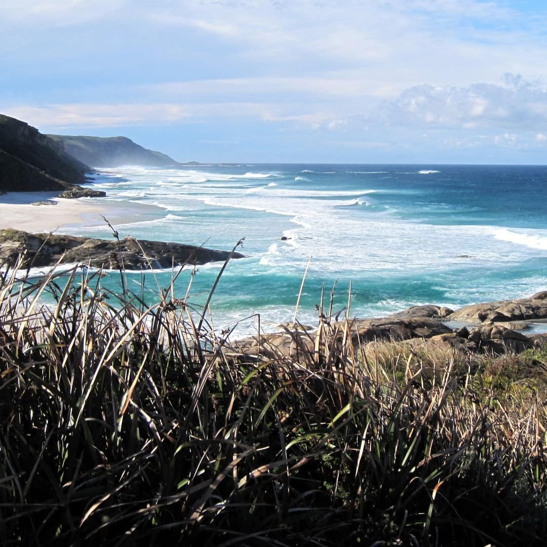 View overlooking the beach with waves crashing on the shore, rocky cliffs, and thick vegetation.
